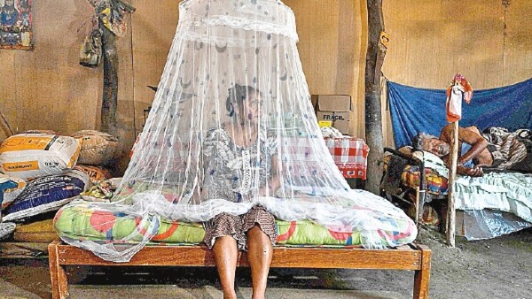 OMS eleva a alto el riesgo de expansión global del dengue