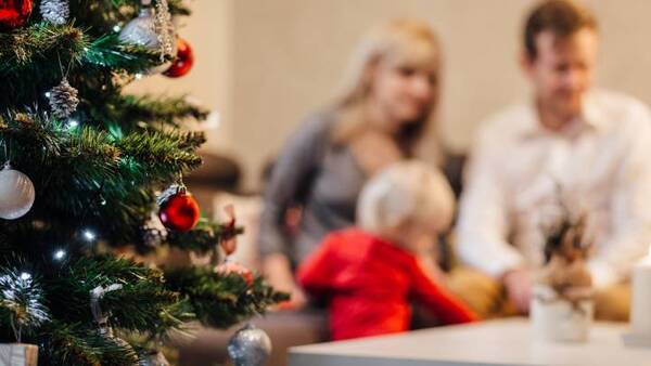 La otra cara de las fiestas: Una guía de Harvard te muestra cómo evitar conflictos familiares - trece