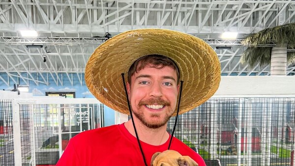 Youtuber MrBeast rescata a 100 perros de la calle y les consigue hogar