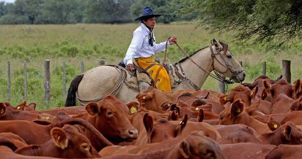 La Nación / Sector ganadero cierra un 2023 con esperanza de desarrollar mercados