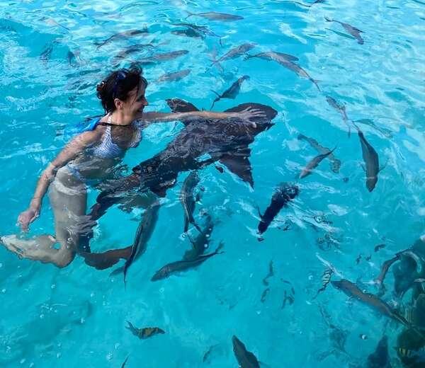 Las islas Exuma, entre superricos y cerditos nadadores - Viajes - ABC Color