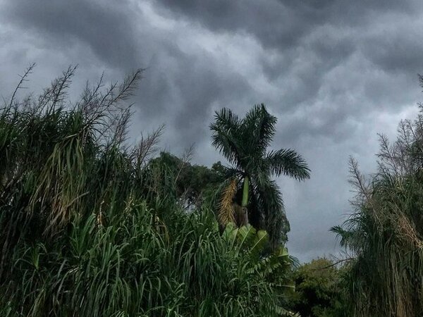 Lluvias dan una tregua desde hoy, pero vuelven el fin de semana
