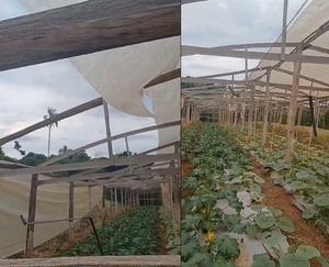 Tormenta afecta severamente a productores de Minga Guazú - ADN Digital