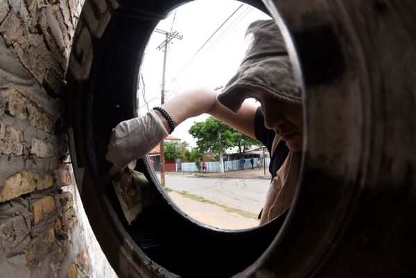 Diario HOY | Salud insta a eliminar criaderos de mosquitos tras intensas lluvias