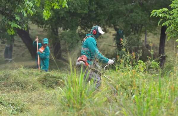 No olvide eliminar criaderos del Aedes aegypti después de la lluvia - Nacionales - ABC Color