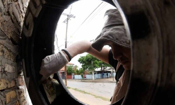 Salud insta a eliminar criaderos de mosquitos tras intensas lluvias – Prensa 5