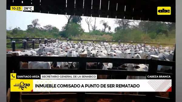 Video: Inmueble incautado está a punto de ser rematado - ABC Noticias - ABC Color