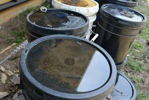 Salud pide eliminar criaderos de Aedes aegypti en los domicilios tras intensas lluvias en Navidad - trece