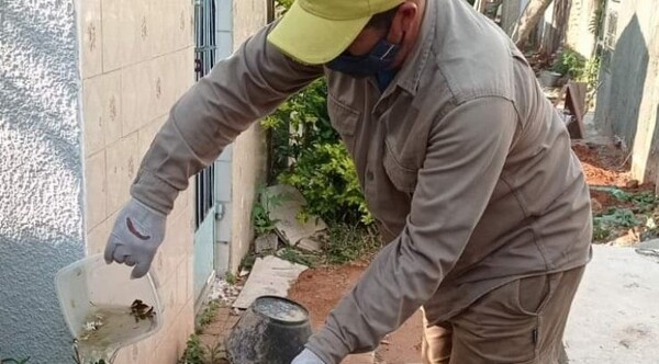 Rastrillaje del SENEPA interviene 14.000 predios en lucha contra el dengue
