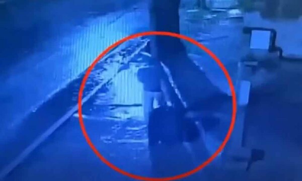 Horror en Argentina: descuartizó a su padre, lo metió en un valija y lo tiró en una plaza – Prensa 5