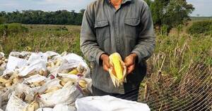 La Nación / Proeza involucró a 219 familias vulnerables con modelos agroforestales