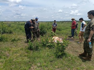 Presunto cuatrero cae abatido | Radio Regional 660 AM