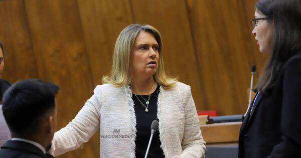La Nación / La oposición en Diputados no se siente, dice Vallejo