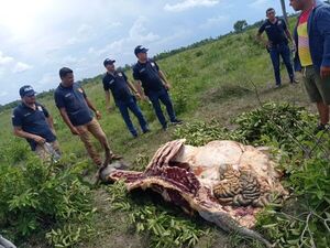 Un presunto abigeo muere en Horqueta tras enfrentamiento con la policía