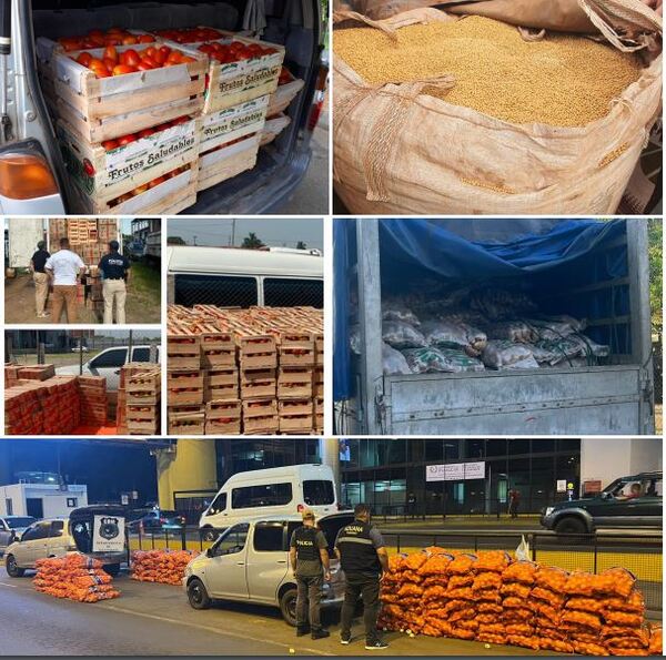 DNIT - Aduanas reporta decomiso de unos 580.000 kg de productos frutihortícolas