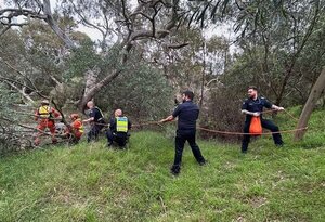 Tormentas dejan siete muertos en el este de Australia