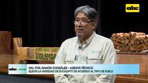 Video: elegir la variedad de eucalipto, de acuerdo al tipo de suelo - ABC Rural - ABC Color