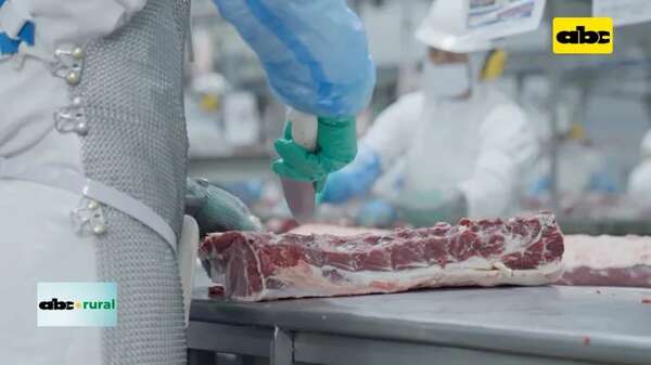 Video: Arabia se alista para probar la carne paraguaya - ABC Rural - ABC Color
