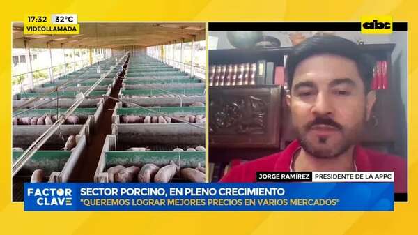 Video: sector porcino evalúa el año - Factor Clave - ABC Color
