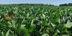 CEPAL: PARAGUAY LIDERA CRECIMIENTO ECONÓMICO EN SUDAMÉRICA EN 2023 - Itapúa Noticias