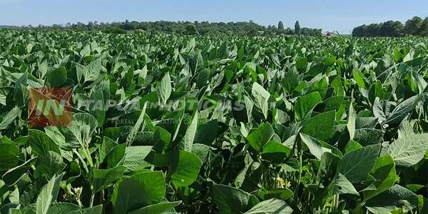 CEPAL: PARAGUAY LIDERA CRECIMIENTO ECONÓMICO EN SUDAMÉRICA EN 2023 - Itapúa Noticias