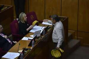 Nepotismo: los tres senadores que también ubicaron a su parentela como sus asistentes - Política - ABC Color