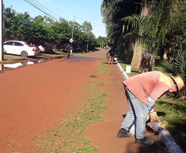 Comuna hernandariense realiza trabajos de mantenimiento de arterias de la ciudad | DIARIO PRIMERA PLANA