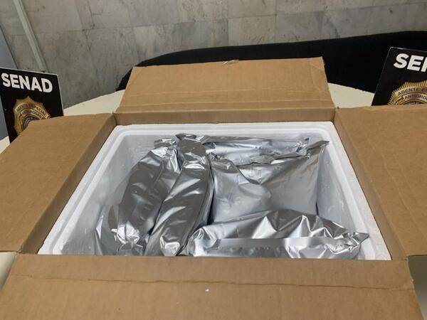 Diario HOY | Alerta aeropuerto: detectan marihuana de alta calidad en una encomienda