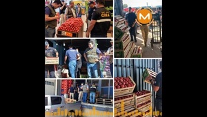 Gerente de Retail dice que Senave no aceptó documentos de traslado de tomates - Noticias Paraguay