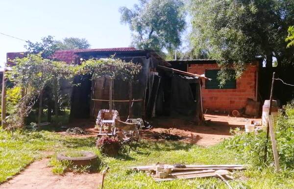 Terror en Luque: Un anciano y 3 perros mueren tras ataque de enjambre de abejas •