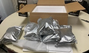 SENAD detecta marihuana en encomienda proveniente de EEUU