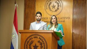 Con nota a Santiago Peña piden el veto a "mutilaciones" de la Ley de Conflicto de Intereses