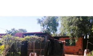 Abuelito y tres perros murieron tras ser picados por abejas