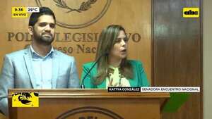 Video: Solicitarán de forma oficial veto de ley - ABC Noticias - ABC Color