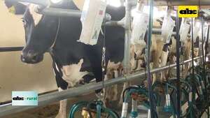 Video: Tecnología de precisión para control de vacas lecheras - ABC Rural - ABC Color