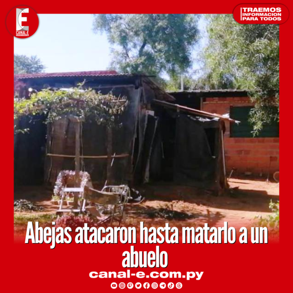 Abejas atacaron hasta matarlo a un abuelo