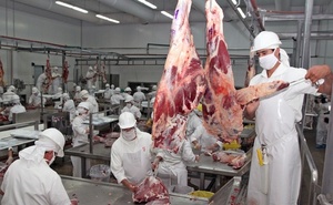 PRIMEROS ENVÍOS DE CARNE PARAGUAYA A CANADÁ ESTÁN A UNAS SEMANAS DE CONCRETARSE - Itapúa Noticias
