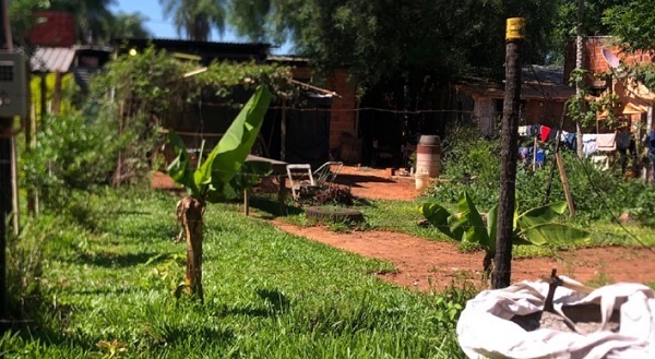 Trágica muerte de un hombre por ataque de abejas en Luque