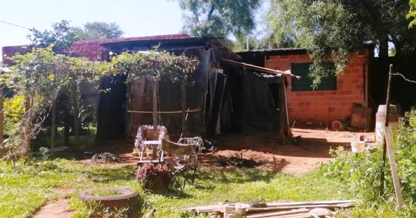 Luque: Septuagenario falleció tras ser atacado por un enjambre de abejas