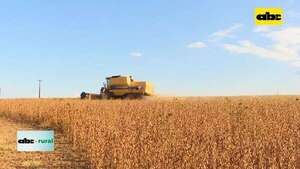 Video: crecimiento de PIB Paraguayo en 2023 - ABC Rural - ABC Color