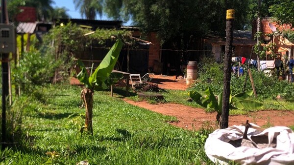 Hombre de 74 años muere tras ser atacado por abejas en Luque