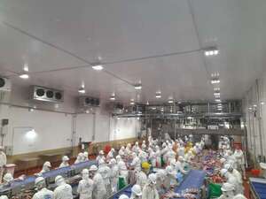 Canadá interesada en importar carne paraguaya  - Economía - ABC Color