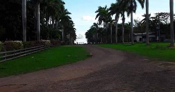 La Nación / Acribillan a guardia de estancia de Wasmosy