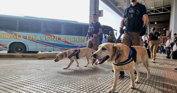 Diario HOY | Año Paha: controles antidrogas en la Estación de Buses