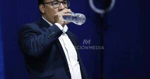La Nación / Fleitas “no está articulando correctamente” la unidad liberal, opina abogada