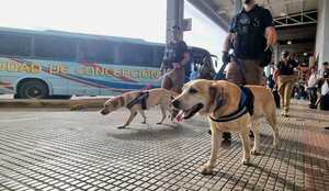 Intenso operativo antidrogas en la ex terminal de ómnibus - ADN Digital