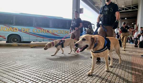 Intenso operativo antidrogas en la ex terminal de ómnibus - ADN Digital