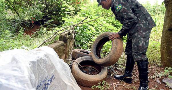 La Nación / Brasil bate récord: 1.079 fallecidos por dengue