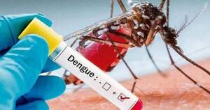 Diario HOY | Casos de dengue se disparan: hay más de 3.400 infectados