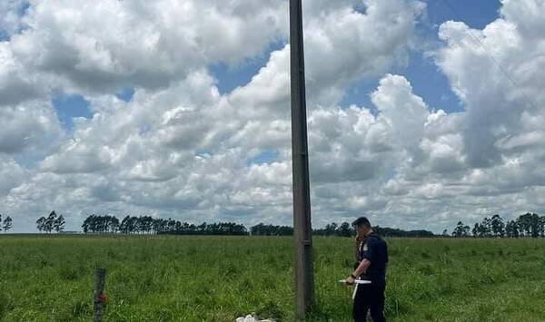 Se fue hasta una columna de tendido eléctrico y encontró la muerte de manera terrible